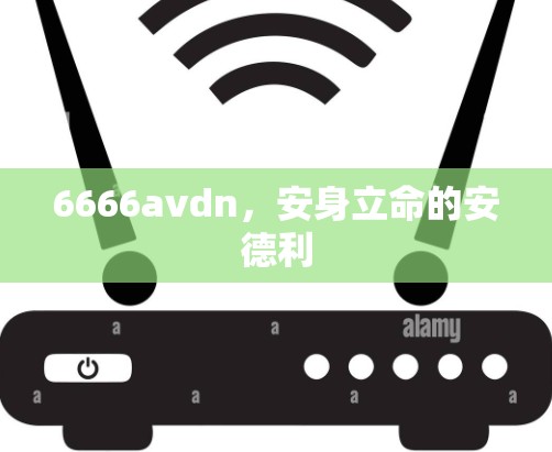 6666avdn，安身立命的安德利